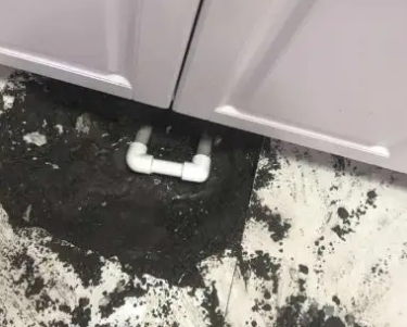 连平查漏水哪家好