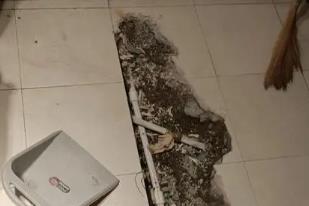 连平卫生间漏水检测电话